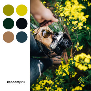 Kaboompics - Free Stock Photos & Color Schemes
