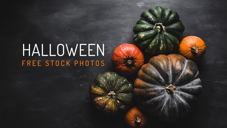 Best Free Halloween Photos – Prepare For Halloween Fever!