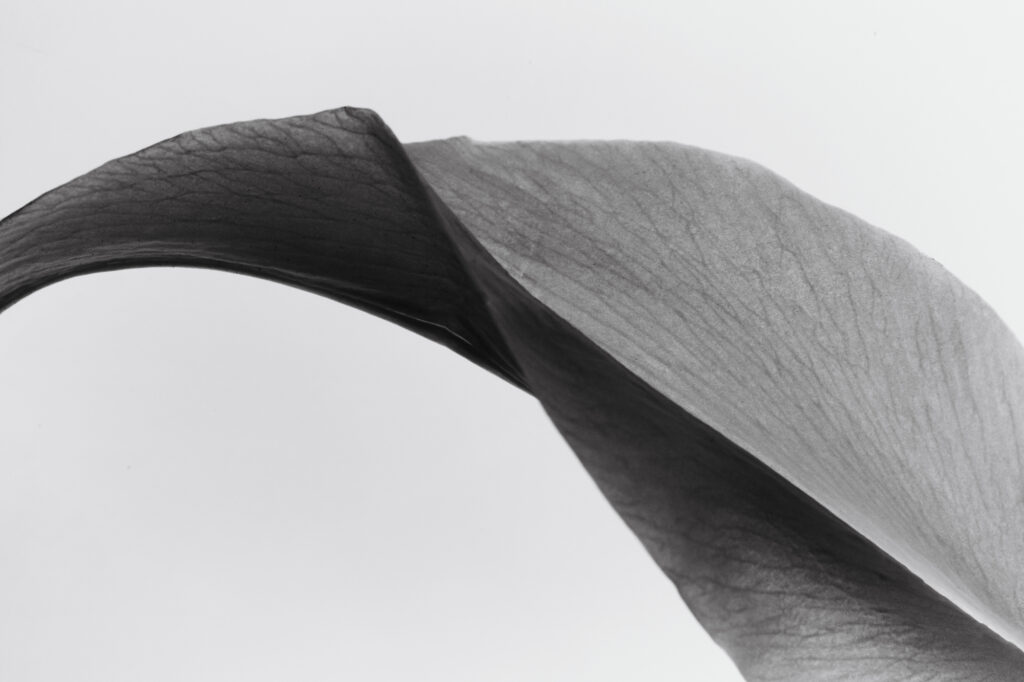 how to find original source of pinterest image